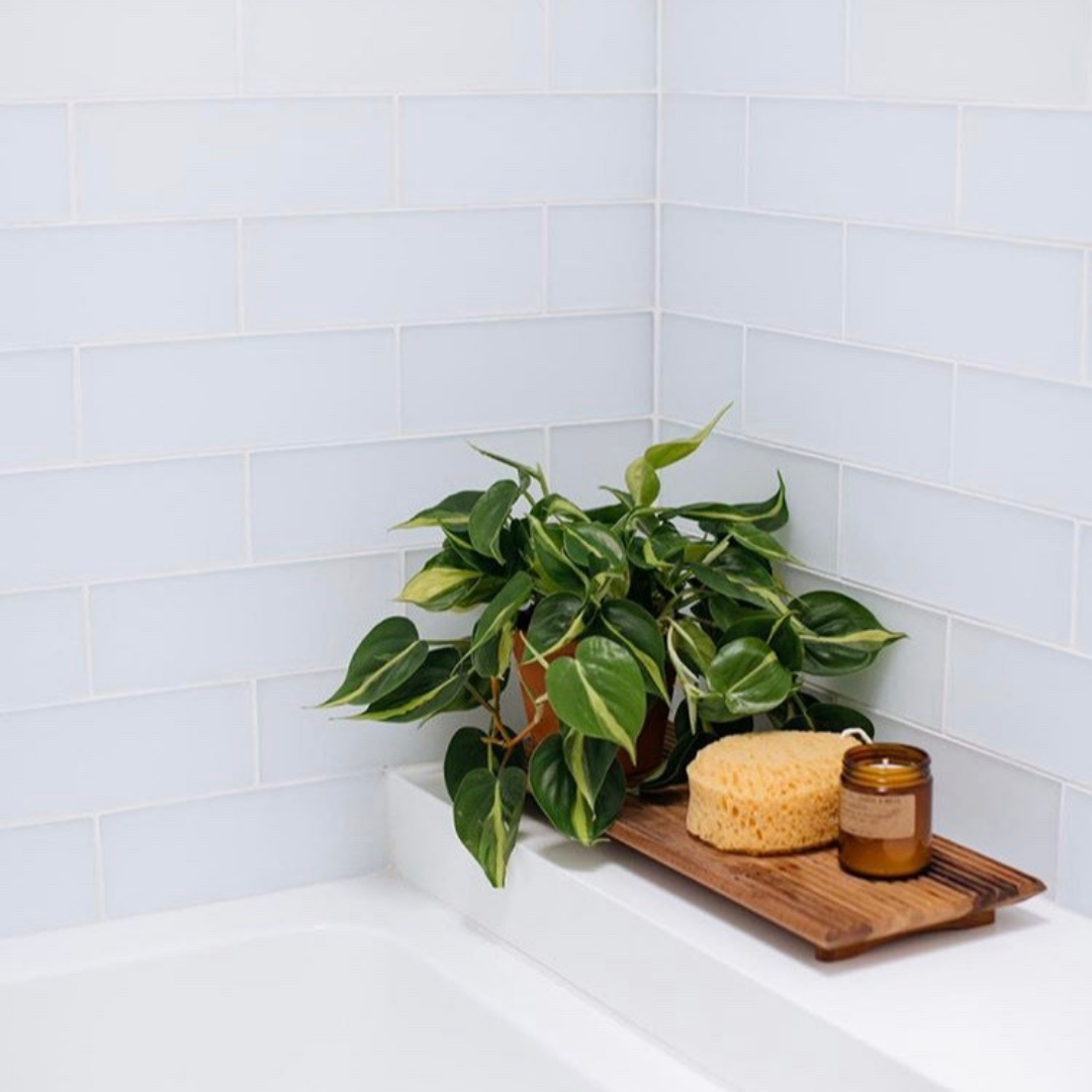Frosted white glass subway tile in bathroom with a plant and candle.