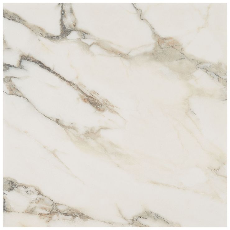 DreamStone Calacatta Rustico 24x24 Matte Porcelain Tile | Tilebar.com