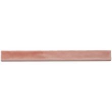 Carolina Coral X Polished Ceramic Tile Tilebar Com