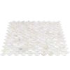 Oyster White Pearl Shells Tile | Tilebar.com